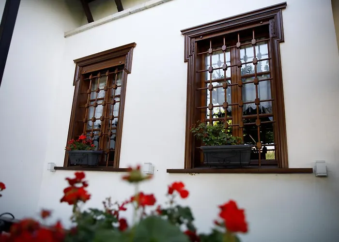 Hotel Boutique Musee